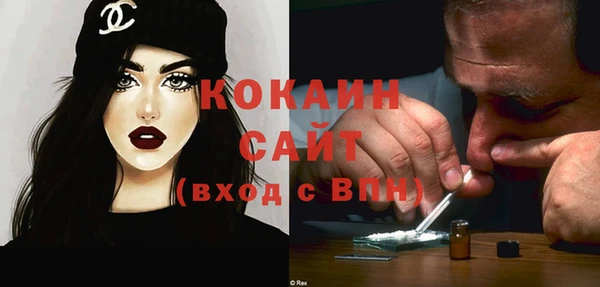 сатива Богородицк