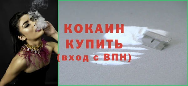 mdpv Богородск