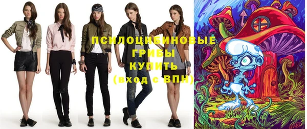 сатива Богородицк