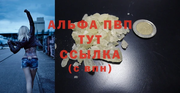 сатива Богородицк