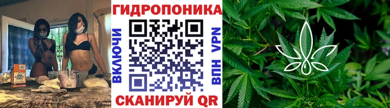 даркнет Telegram  Бирюсинск  Бошки Шишки гибрид 